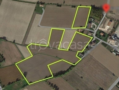 Terreno Agricolo in vendita a Villa Estense via bortolina