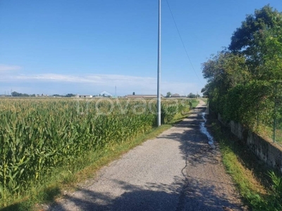 Terreno Agricolo in vendita a Villafranca di Verona localita' gazzuolo
