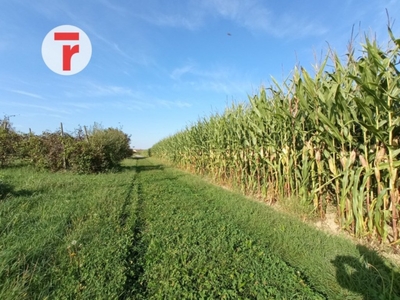 Terreno Agricolo in vendita a Villafranca Padovana via Molini