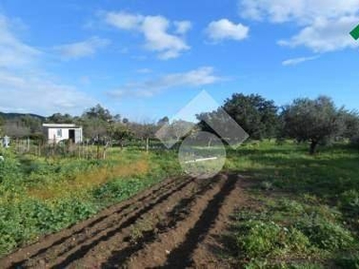 Terreno Agricolo in vendita a Villasimius localiità su pranu
