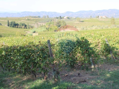 Terreno Agricolo in vendita a Vinci via Cerretana, 136