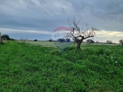 Terreno Agricolo in vendita a Vittoria c/da Spedalotto, sn