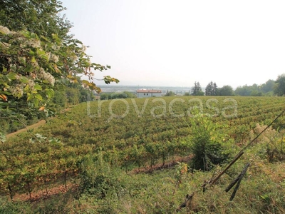 Terreno Agricolo in vendita a Zermeghedo via Guido Marangoni, 10