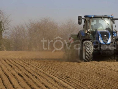 Terreno Agricolo in vendita a Zero Branco