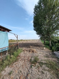 Terreno Agricolo in vendita ad Adria cà Emo Via Bovina, 0