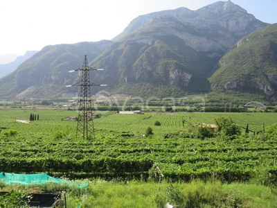 Terreno Agricolo in vendita ad Ala via Regina Teodolinda