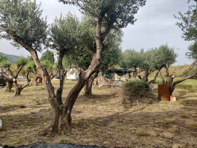 Terreno Agricolo in vendita ad Albenga regione Massaretti