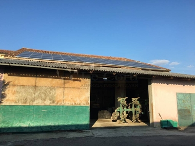 Terreno Agricolo in vendita ad Albettone