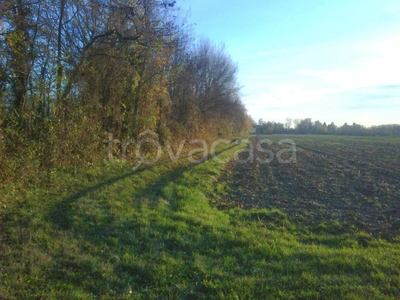 Terreno Agricolo in vendita ad Albignasego via Ponte della Fabbrica