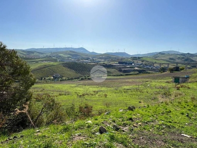 Terreno Agricolo in vendita ad Alcamo c/da Valle Nuccia, 1
