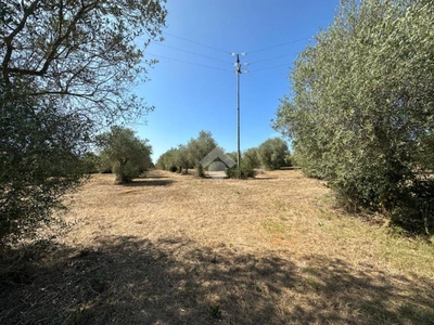 Terreno Agricolo in vendita ad Alghero loc. La Rucchetta, 32