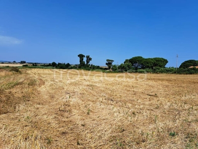 Terreno Agricolo in vendita ad Anguillara Sabazia via Casal Sant'Angelo