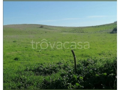 Terreno Agricolo in vendita ad Anguillara Sabazia via Giacomo Cusmano