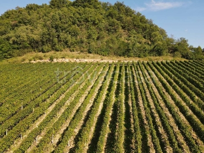 Terreno Agricolo in vendita ad Appiano sulla strada del vino via Bolzano
