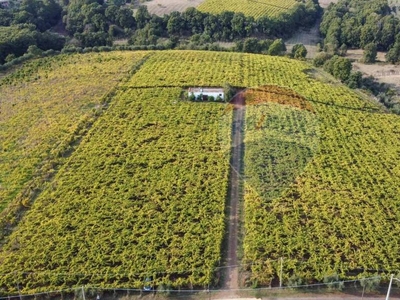 Terreno Agricolo in vendita ad Aprilia via del tufello, 7