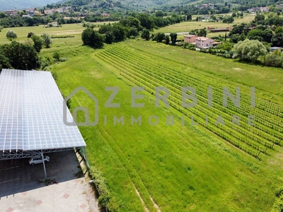 Terreno Agricolo in vendita ad Arezzo località Via de' Frati, 14A