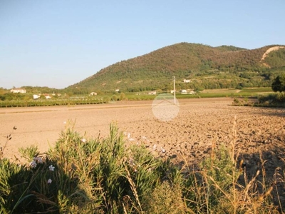 Terreno Agricolo in vendita ad Arquà Petrarca via Valli, 19