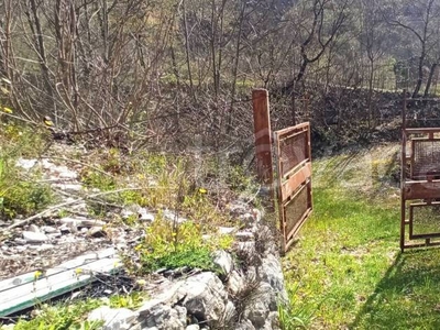 Terreno Agricolo in vendita ad Arrone località Rosciano