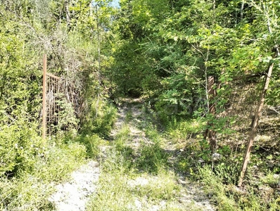 Terreno Agricolo in vendita ad Arrone rosciano