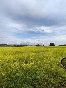 Terreno Agricolo in vendita ad Artena via di Casa Colonnella