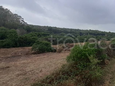 Terreno Agricolo in vendita ad Arzachena