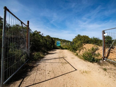 Terreno Agricolo in vendita ad Arzachena surrau ss