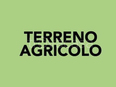 Terreno Agricolo in vendita ad Assisi strada Comunale Santa Croce