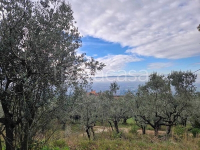Terreno Agricolo in vendita ad Assisi via del Collicello