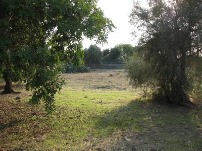 Terreno Agricolo in vendita ad Augusta via Pantelleria