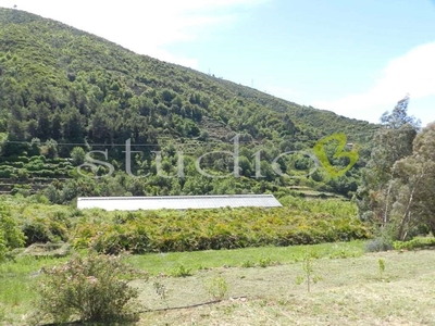 Terreno Edificabile in vendita a Bordighera vioa g. Matteotti snc