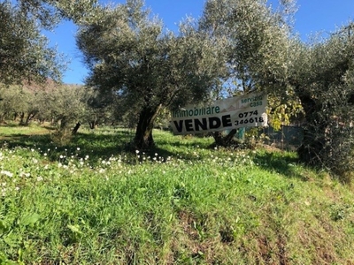 Terreno Edificabile in vendita a Marcellina via Antonio Gramsci,