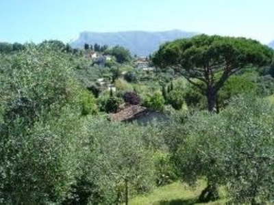 Terreno Edificabile in vendita a Massarosa