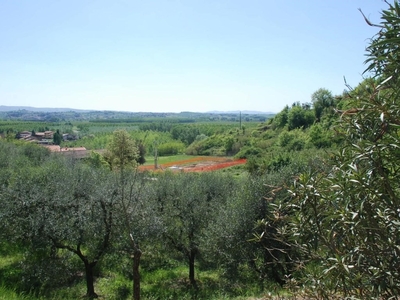 Terreno Edificabile in vendita a Pontedera fattoria s.Lucia V.S.Gervasio,