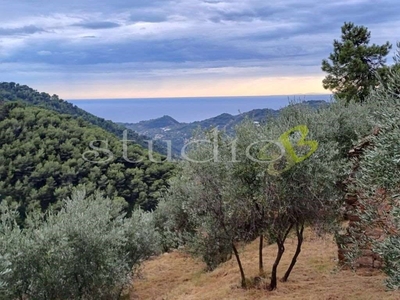 Terreno Edificabile in vendita a Seborga via Castagna snc