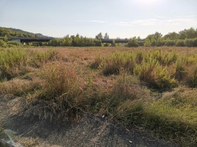 Terreno Industriale in vendita a San Gimignano badia a Elmi