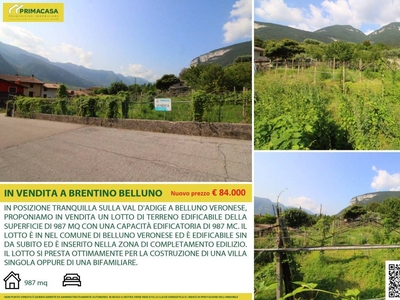 Terreno Residenziale in vendita a Brentino Belluno via del Baldo, nd