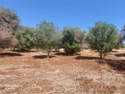 Terreno Residenziale in vendita a Carovigno