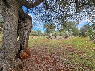 Terreno Residenziale in vendita a Carovigno