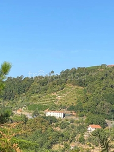 Terreno Residenziale in vendita a Castiglione Chiavarese velva