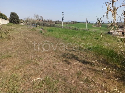 Terreno Residenziale in vendita a Castiglione del Lago via Nazionale, 34