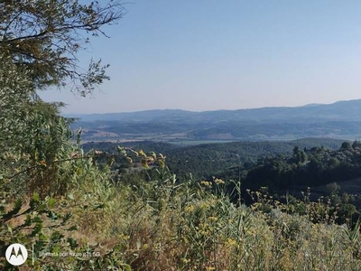 Terreno Residenziale in vendita a Città della Pieve strada Comunale della Casella, 1