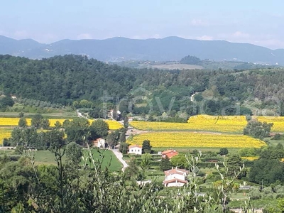 Terreno Residenziale in vendita a Crespina Lorenzana via l'Annunziata