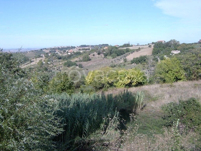 Terreno Residenziale in vendita a Cupramontana via Giacomo Matteotti