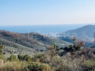 Terreno Residenziale in vendita a Diano Arentino localita Merea s.n.c