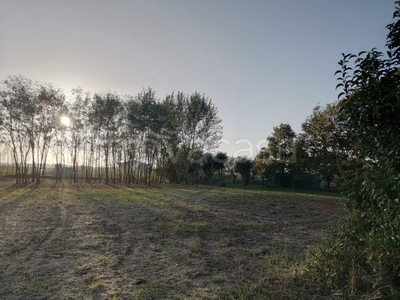 Terreno Residenziale in vendita a Fiumicello Villa Vicentina