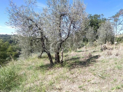 Terreno Residenziale in vendita a Forano via dei Gradini