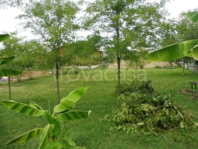 Terreno Residenziale in vendita a Isola Vicentina via Grumo