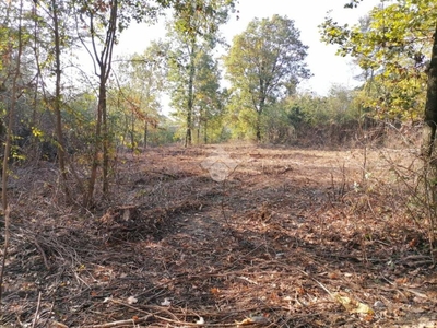 Terreno Residenziale in vendita a La Cassa via Costabella