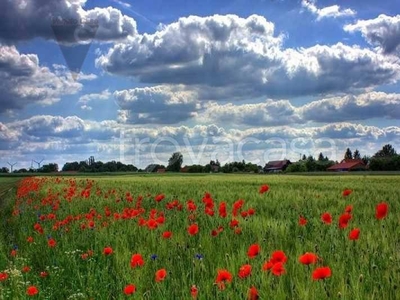 Terreno Residenziale in vendita a Legnaro