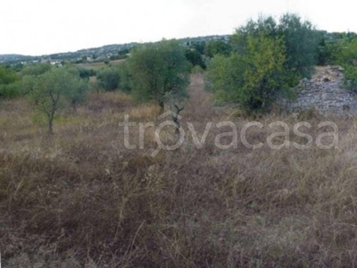 Terreno Residenziale in vendita a Locorotondo via steser s.n.c